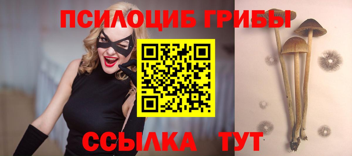 Галлюциногенные грибы Psilocybine cubensis Серпухов